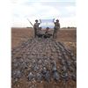 Image 1 : Argentina Dove Hunt for 5