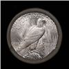 Image 3 : ***Auction Highlight*** Full solid date 1923-p Uncirculated Peace silver dollar roll, 20 coins (fc)