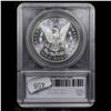 Image 5 : ***Auction Highlight*** 1879-p Morgan Dollar Near TOP POP! $1 Graded ms65+ DMPL By SEGS (fc)