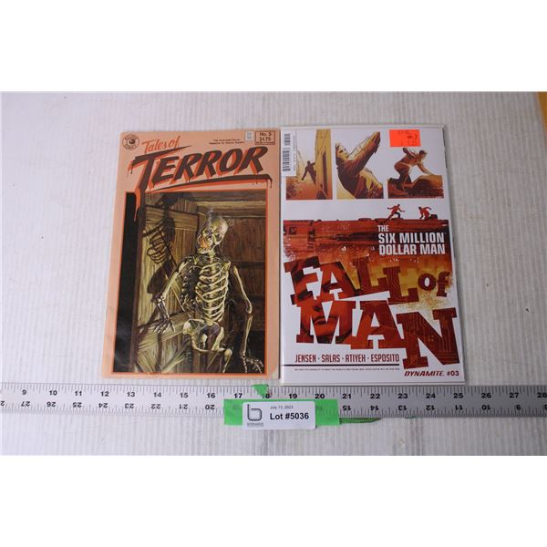 (2) Comic Books - Six Million Dollar Man, Tales of Terror