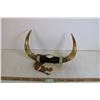 Image 1 : Bull Horns - Wall Hanging