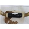 Image 2 : Bull Horns - Wall Hanging