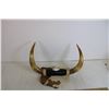 Image 3 : Bull Horns - Wall Hanging