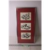 Image 1 : Framed Art of Birds - 10" x 20"