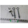 Image 1 : (3) Eye Bolts