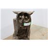 Image 2 : *Paper Mache Owl on Tree Stump