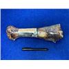Image 1 : The Chompery Beef Foreshank Bone