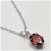 Image 3 : Silver Garnet Necklace (~Size 0) (~length 0 inches), Suggested Retail Value $100