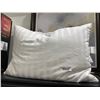 Image 1 : Lot of 2 Allied Home Standard Queen Size Pillows