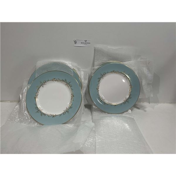 Gorgeous Teal Plates