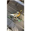 Image 8 : LOT OF LAWN DECOR INCLUDING HORSESHOES AND 2 WATERING CANS