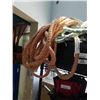 Image 4 : 2 COILS OF ROPE