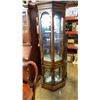 Image 1 : VINTAGE GLASS DISPLAY CABINET