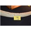 Image 2 : CARVED COMPOSITE TUSK (31")