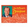 Image 10 : A Collection of (14) Disneyland Guidebooks.
