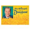 Image 7 : A Collection of (14) Disneyland Guidebooks.