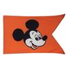 Image 1 : An Official Large Size Mickey Mouse Disneyland Flag.