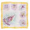 Image 1 : A Disneyland Lands Scarf.