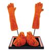 Image 1 : A Pair of Brer Fox Character Costume Hands & Feet.
