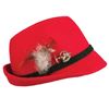 Image 1 : A Matterhorn Souvenir Hat.