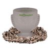 Image 1 : Polynesian Village Frosted Glasses & Shell Necklaces.