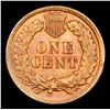 Image 3 : 1906 Indian Cent 1c Grades GEM++ RB