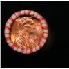Image 2 : Shotgun Lincoln 1c roll, 1981-p 50 pcs Merchants Bank Wrapper.