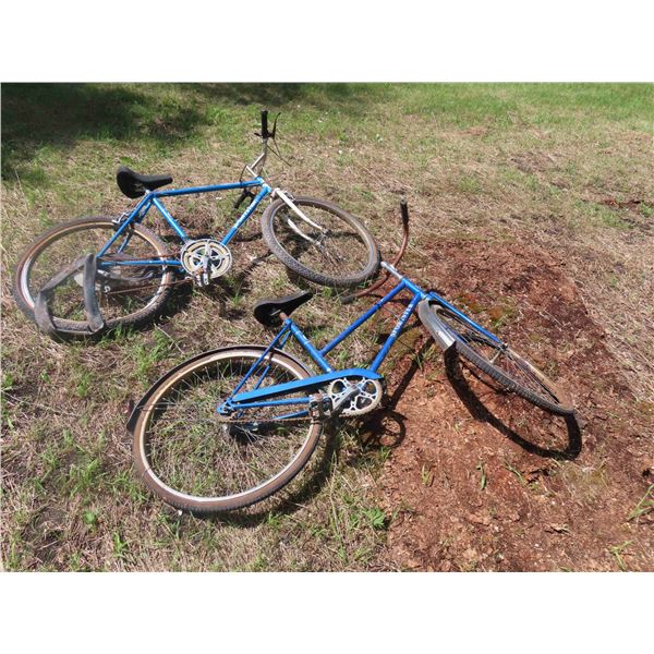 2 Sportster Pedal Bikes 