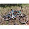 Image 3 : 2 Sportster Pedal Bikes 