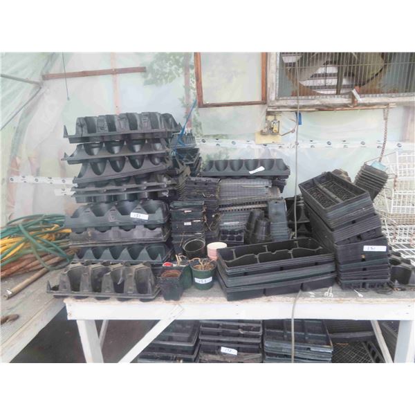 Quantity of Green House Trays Various Sizes