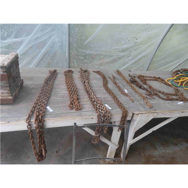 Chains ; 4 Good Sizes, 3 Smaller/Medium, Load Binder