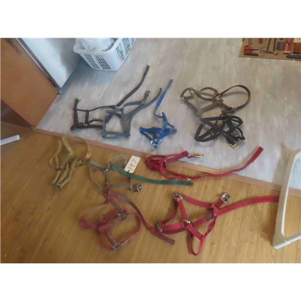 10 Nylon Halters