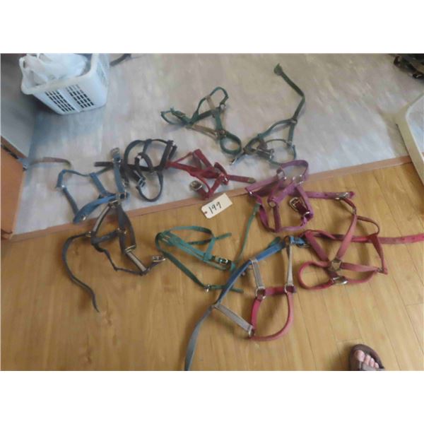 10 Halters