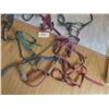 Image 2 : 10 Halters