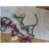 Image 3 : 10 Halters