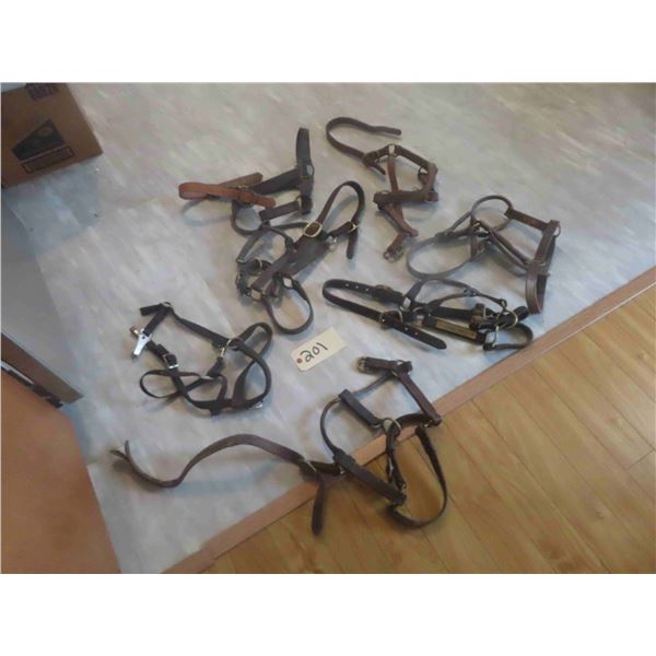 7 Leather Halters