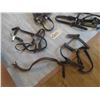 Image 2 : 7 Leather Halters