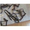 Image 3 : 7 Leather Halters