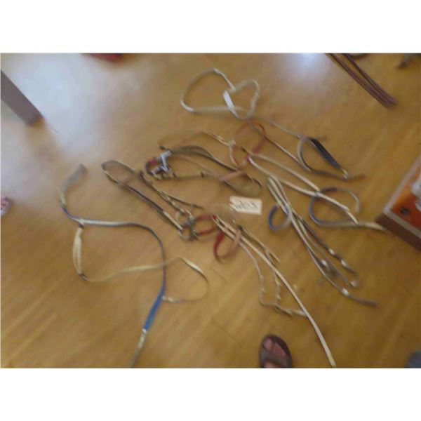 7 Bridles, No Reins 