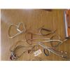 Image 2 : 7 Bridles, No Reins 