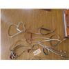 Image 2 : 7 Bridles, No Reins 