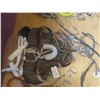 Image 2 : Breaking Blanket, Saddle, Bridle, Leads, Horse Cover