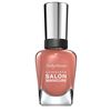 Image 1 : NEW BAG OF 4 BOTTLES OF SALLY HANSEN NAIL POLISH