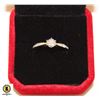 Image 1 : 0.50 CT MOISSANITE VVS CENTRE WITH CLEAR ACCENTS