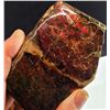 Image 1 : 1486 CT RED FIRE NATURAL AMMOLITE
