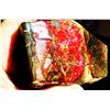 Image 2 : 1486 CT RED FIRE NATURAL AMMOLITE