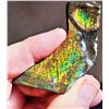 Image 3 : NATURAL MULTI COLORED AMMOLITE