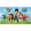 Image 2 : NEW 120PCS PAW PATROL BIRTHDAY DECOR ATION SET