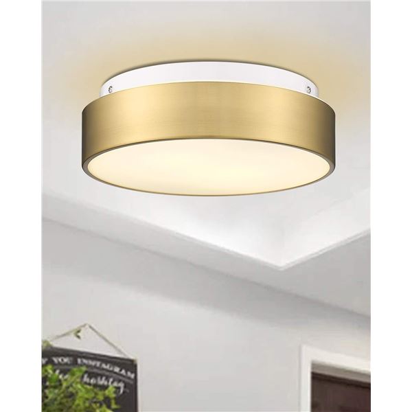 NEW AUTELO CEILING LIGHT FIXTURE MODEL C3312 BRZ