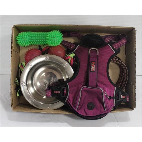 FLAT WITH KONG DOG HARNESS/LEASH/BOWLS/TOYS